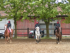 PO 2008 (31)